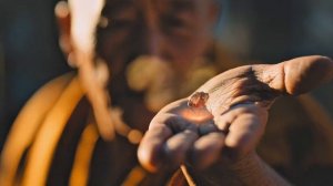 Джамиля Тамадаева - "96 часов на Бали: Воссоединение"