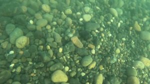 В море с головой