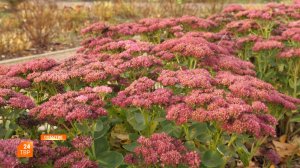 Прогноз погоды