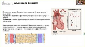 Глимфатическая система. В чем наш интерес Белкин А.А, 2025