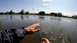 Рыбалка с Зеленой Обезьянкой. Shimotsuke Turing Monkey SP40