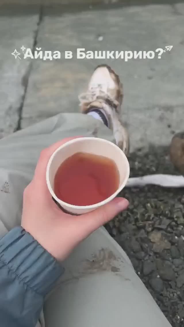 Айда в Башкирию?