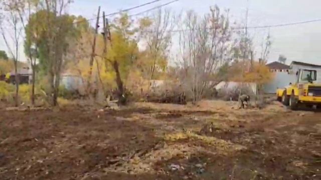 Видео WhatsApp 2025-11-04 в 21.02.27_57b0ab09 смотреть онлайн