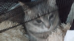 Обновление