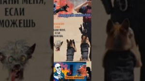 С давних времен