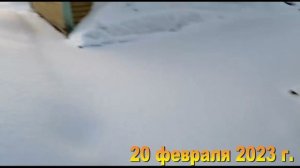 7 соток. Хроника Дача Февраль 2023 г