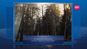 Зарок на Параскеву. Календарь Губернии от 9 ноября