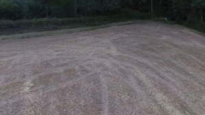 The Moody Blues -" Cause I love you "