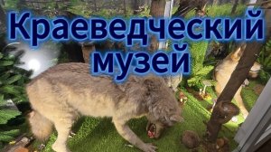 «Краеведческий музей: тайны природы нашего края»