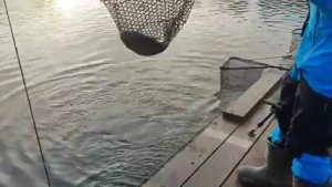 СЗ.До запуска