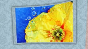 Картины, которые, хочется, потрогать !