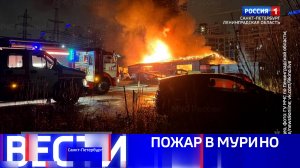 Вести Санкт-Петербург. Выпуск 14.30 от 08.11.2025