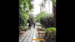 Марокко. Марракеш. 11. 2016 г.