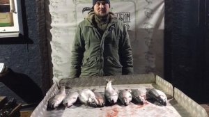 хороший улов форели