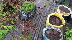 НОЯБРЬ. САД И ОГОРОД.