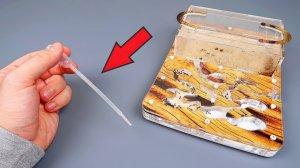 Как я чуть не потерял всех своих муравьев и почему это произошло! alex boyko