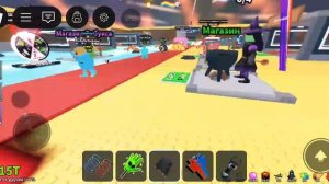 тако вторнник гг