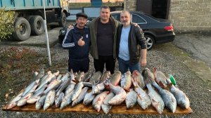 Рыбалка Астрахань 2025. Клёв жереха, сазана, окуня, щука, Сом.