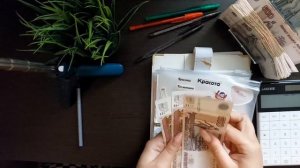 #13 РАСПРЕДЕЛЕНИЕ/ АВАНС МУЖА/ ДОЧЬ НАВОДИТ СУЕТУ/ май чек1