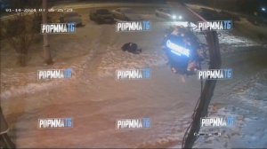 💥То самое видео, на котором Хамзату Маэстро сломали челюсть.