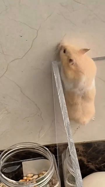 Миссия выполнима