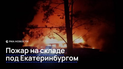 Рене Риа онлайн порно