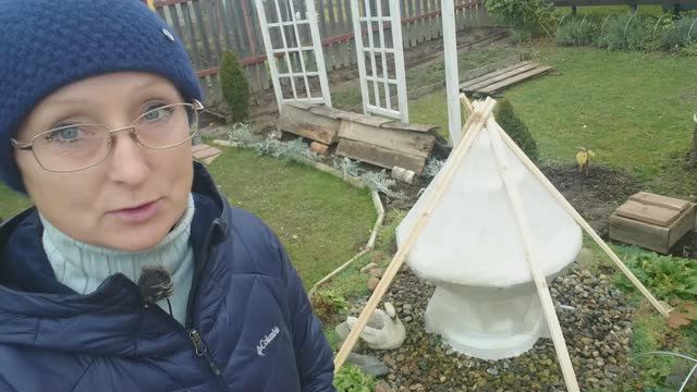 Видео привет с 6 соток 6 ноября 2025 года.