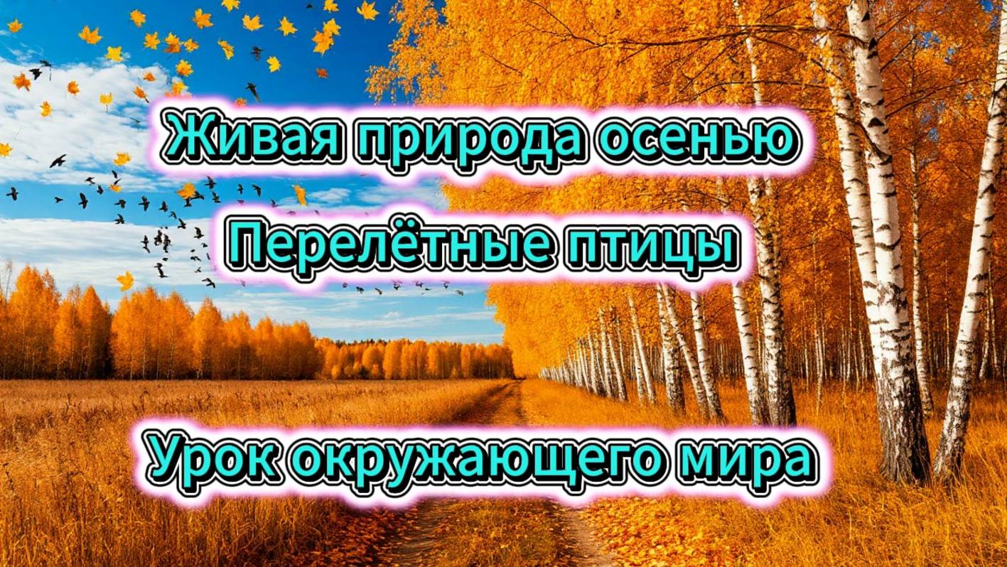 Живая природа осенью. Из жизни птиц. Урок окружающего мира. Перелетные птицы.