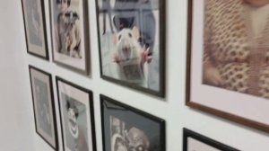 Санкт Петербург, творческая мастерская Свиное рыло, выставка Николая Васильева. 5 ноября 2025 г.