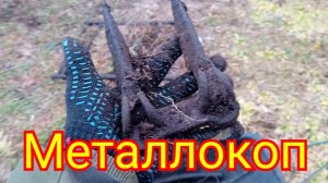 Поиск металла.Металлокоп.