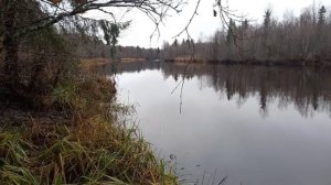 Пора  снегу быть, Пасмурно но красиво