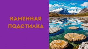 Маргарет Этвуд Каменная подстилка #аудиокнига #литература #рассказы #рассказыолюбви #драма