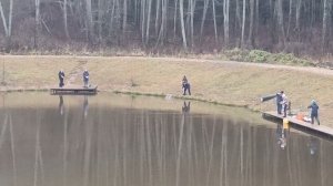 Forest Fishing 08.11.25