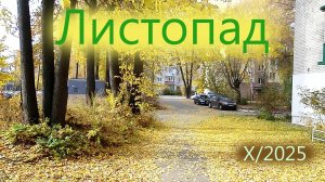 Листопад.  X/2025