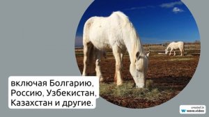 Узнайте все о фамилии Ачев: происхождение, история и значение, а также правильное склонение