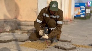 На улице Шлагбаумской восстанавливают тротуары