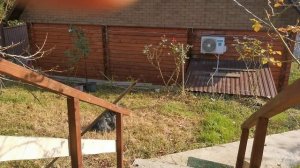 СОЧИ ГОРНОЕ ЛОО УТРО 08.11.2025