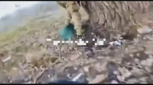 Был да сплыл №26