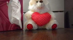 Звёздный час Ольги Геннадьевна. Страница надежды