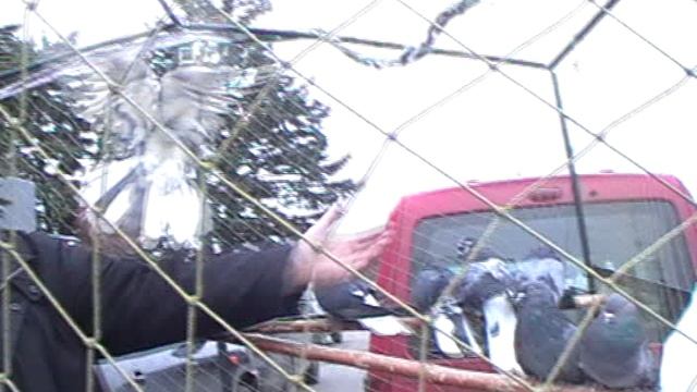 8.11.2025г.Ярмарка в Шахтёрске.