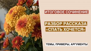 АРГУМЕНТЫ для итогового сочинения | рассказ А.П. Чехова «Спать хочется»