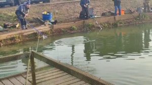 WhatsApp Video 2025-11-08 at 10.06.49