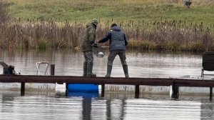 Поимки форели !!!