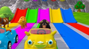 Давай смотреть! Мультики про милых зверят. КРАСОЧНЫЕ ДЕТСКИЕ АНИМАЦИИ.