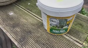 Побелка деревьев осенью. 3 ноября