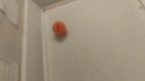 Чудик-Шарик