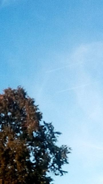 VID_20250921_172311 смотреть онлайн