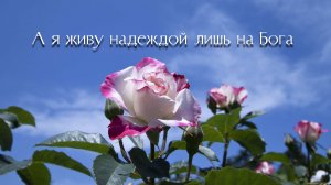 А я живу надеждой лишь на Бога | стихи христианские
