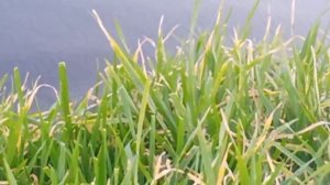 VID_20251108_170850~4.mp4