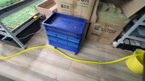 Обзор моей фермы микрозелени! Как устроена ферма микрозелени внутри?